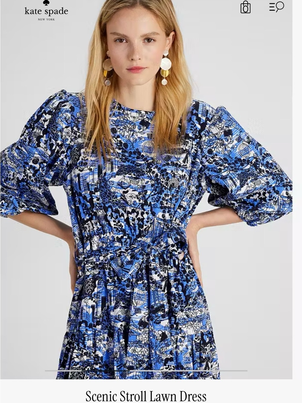 NWOT kate spade Scenic Stroll NY Blue Printed Midi Dress - Picture 3 of 15